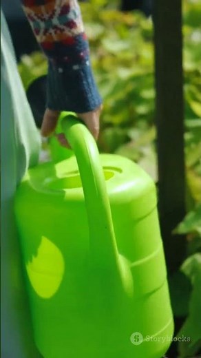 Yarrow, Essential Yarrow Care Tips: Harvesting, Pruning, and Watering for a Thriving Garden