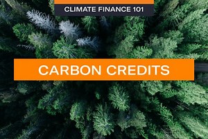 Carbon Credits