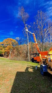 Mark's Tree Service was working in Tomahawk Wednesday, doing a total removal on 2 big poplar trees, including grinding the stumps. Protect your investments and give us a holler at 304-579-7144. Licensed and insured, Hedgesville, WV. Support local, please share. Free estimates, free tree assessments. No tree too tall, we cut them all. | Mark's Tree Service