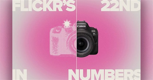 The Most Popular Cameras on Flickr