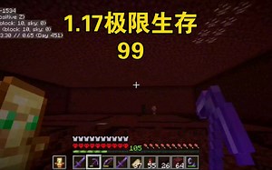【我的世界】Java版1.17极限生存 99