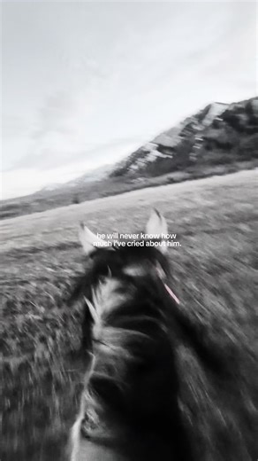 Love this horse with my whole heart🖤💛#horsetok #fypシ #mustang #buckskin #mountains