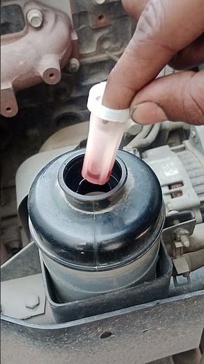 how to check power steering fluid Isuzu Nkr shot video viral