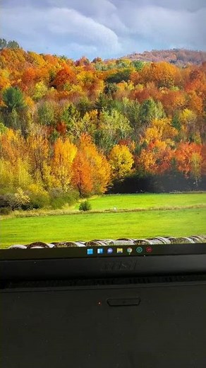 Windows 11’de Widget Ekleme, Düzenleme #windows11 #microsoft #windows #pc #shortvideo