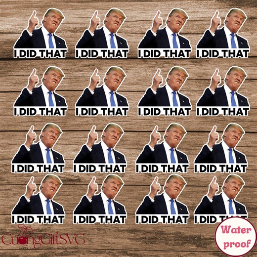 100pc Trump I Did That Stickers, Gas Pump, Political Humor, Trump Meme Sticker, Anti Trump Sticker - Etsy
