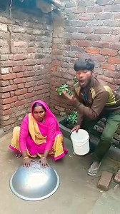 🕊️🕊️🕊️🦜🐦🕊️Brother, catch the pigeon, it will fly away #funny #sorts