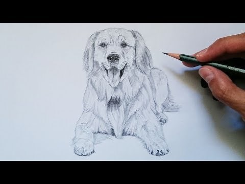 APRENDE cómo DIBUJAR un PERRO realista PASO A PASO | MUY FÁCIL 🐶😄✅