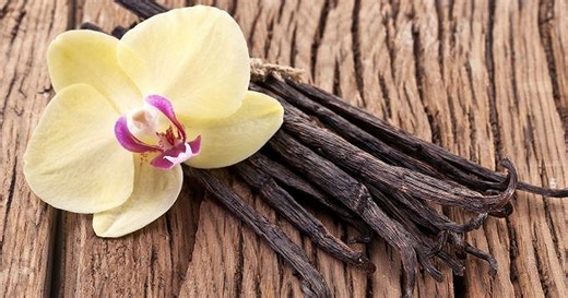 Comment conserver des gousses de vanille ?