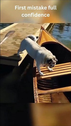 Funniest Dog Fails Ever