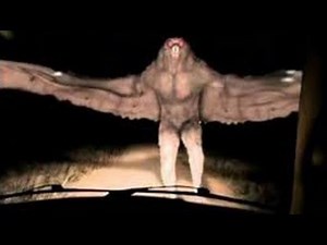 Top 20 Mysterious Creatures Caught On Camera