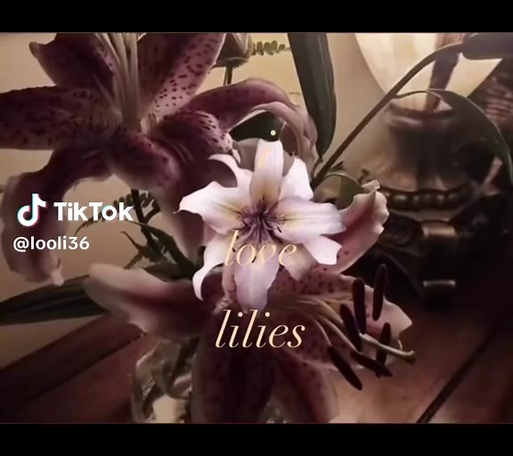 Discover Your Favorite Flower Varieties