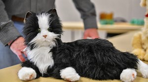Robotic dogs, cats provide comfort and company for seniors