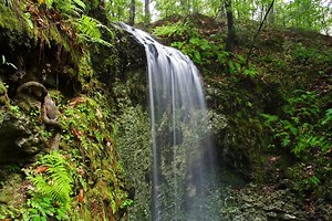 Falling Waters State Park Travel Guide - Expert Picks for your Vacation