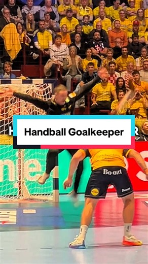 Enhancing Handball Goalkeeping Through Athletic Training