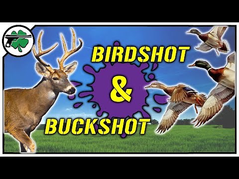 Shotgun Shells EXPLAINED: Birdshot 🦆 Buckshot 🦌 Slugs for Sport & Hunting