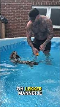 Part 3 of the pool! #water #summer #fun #fyp #viral