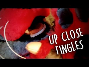 ASMR | Super Close Snuggles and Attention ❤️ Positive Affirmations, Boops, Petting, and More!