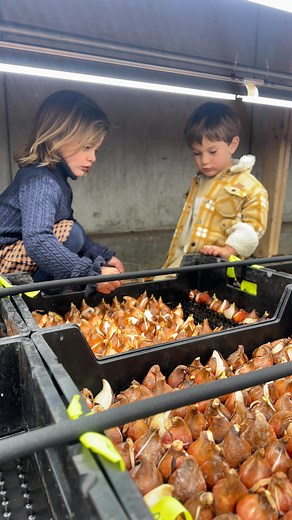 2.7K views · 93 reactions | We are turning an old “ice house” into a...