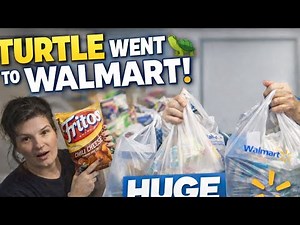 Turtle Went to Walmart 🐢 | HUGE Walmart Haul
