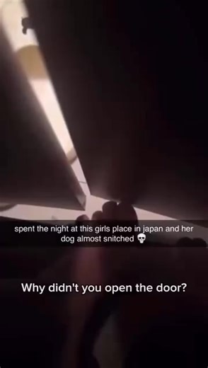 #foryou #fyp #cheating #snitch #dogs