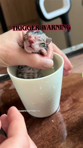 Storia a lieto fine (per ora)