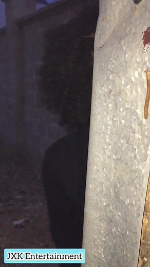 7.7K views · 17 reactions | JXK Entertainment on Reels | Facebook