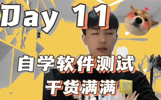 2023年 挑战！自学30天入门软件测试【JMeter接口自动化测试、项目实战】Day11