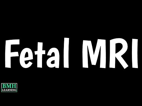 Fetal MRI Scan |