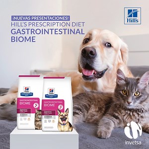 12K views · 17 reactions | Adquiere las renovadas presentaciones de Hill’s Prescription Diet Gastrointestinal Biome para tu pet shop o veterinaria el día de hoy. Consulta por este producto con tu asesor de ventas. #Invetsa #Hills #Hillstransformandovidas | Invetsa | Facebook