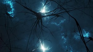 Animation Of Activity Of Neurons Synapses Stock Motion Graphics SBV-348363886 - Storyblocks