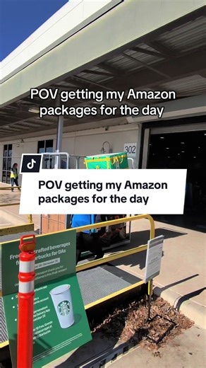 Exciting Amazon Package Delivery Experience
