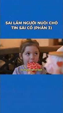 12 Sai Lầm Mà 90% Người Nuôi Chó Vẫn Tin Sái Cổ (Phần 3) | Bác Sĩ Trung