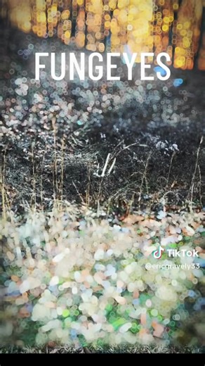 HOLIDAY SALES ALERT! Say goodbye to endless searching! These specialty glasses make antler shed hunting a breeze. Ready for next season? Use code HALFOFF for buy one get one 50% off + free shipping! | Fungeyes | Facebook