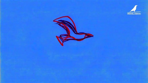 Studies of Muybridge and Etc… | movie | 2019 | Official Trailer