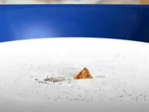 Cinnamon Toast Crunch Shark Commercial SPED UP