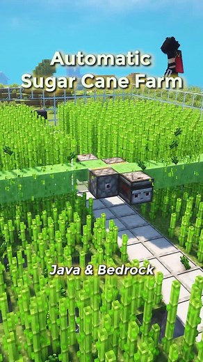 Best Automatic SugarCane Farm Guide for Minecraft Players