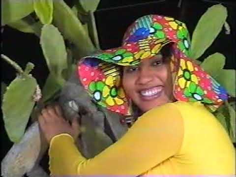 Dandali Soyaya - Adawarmu (Director Hausa) [Video]