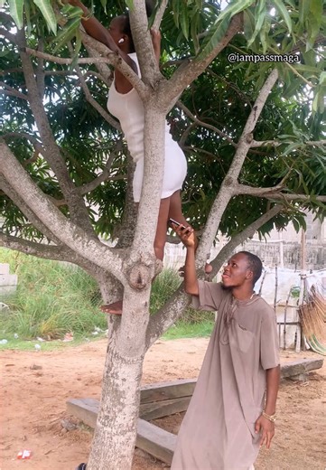 Exploring Unique Tree Perspectives in Nature