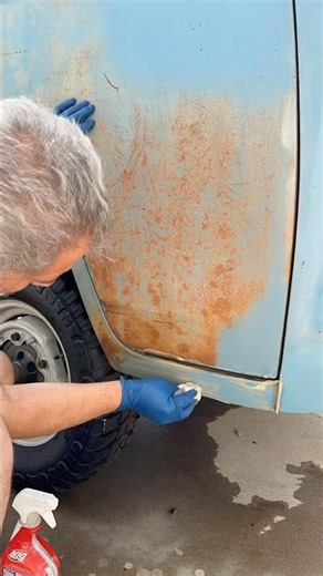 Saving OG Paint on a Classic Vintage Aircooled VW Bus!