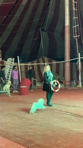 New Year Special Show! 🎪 Amazing Dog Stunts at Phool Nagar Circus 2026