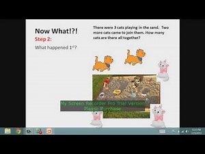 Solve a Word Problem