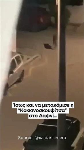 Ίσως και να μετακόμισε η "Κοκκινοσκουφίτσα" στο Δαφνί - Λύκος στο Χαιδάρι