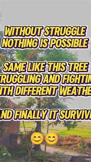 Evolution of Trees 🌴