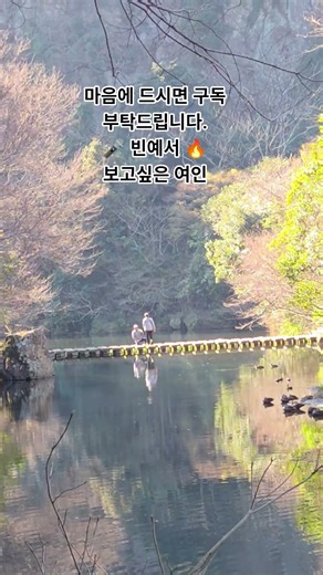 *따스한 봄날, 호숫가 징검다리의 사랑스러운 순간｜빈예서 – 보고싶은 여인