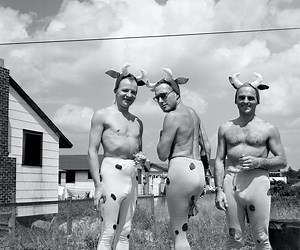 Safe/Haven: Gay Life in 1950s Cherry Grove | The New York Historical