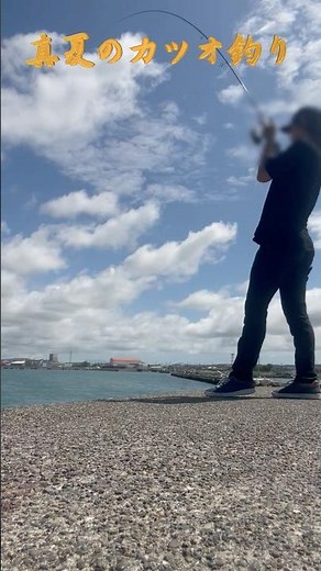 真夏のカツオ一本釣り