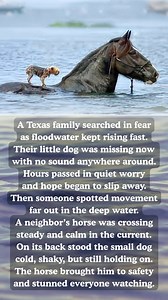 Watermelon Sugar on Reels