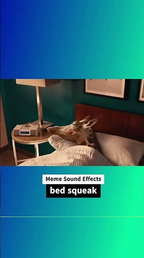bed squeak Meme Sound Effect