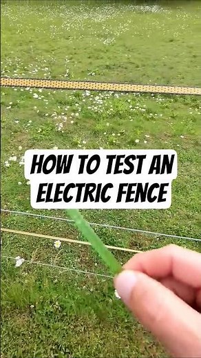 Easiest way to test an electric fence #hobbyfarm #electricfence