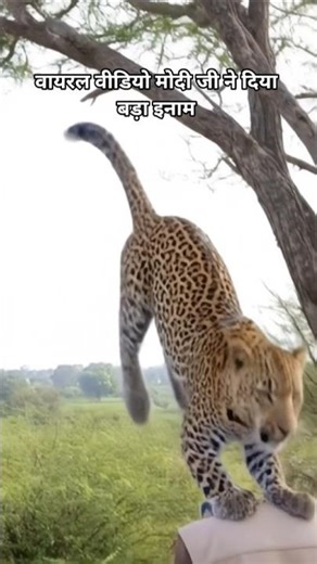 सबसे ज्यादा वायरल वीडियो #viralvideo #quran #madina